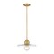 Z-Lite Paloma Pendant, 1-Light, 14 In.W x 6.25 In.H, Olde Brass/Clear 821P14-OBR - alternate 1